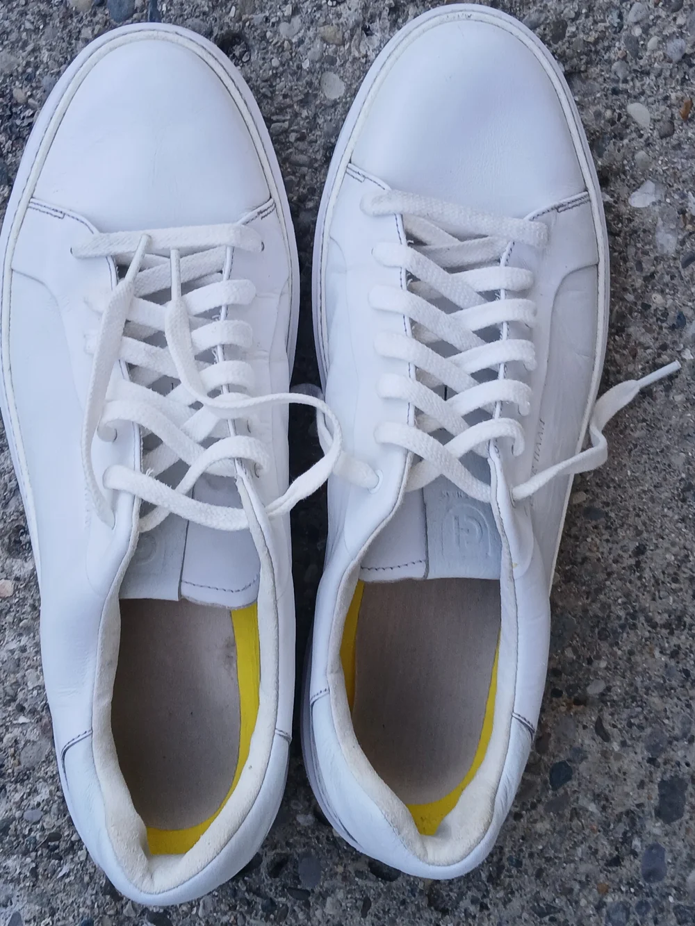 Size 14 Cole Haan Men's White Low-Top Lace-Up Sneakers